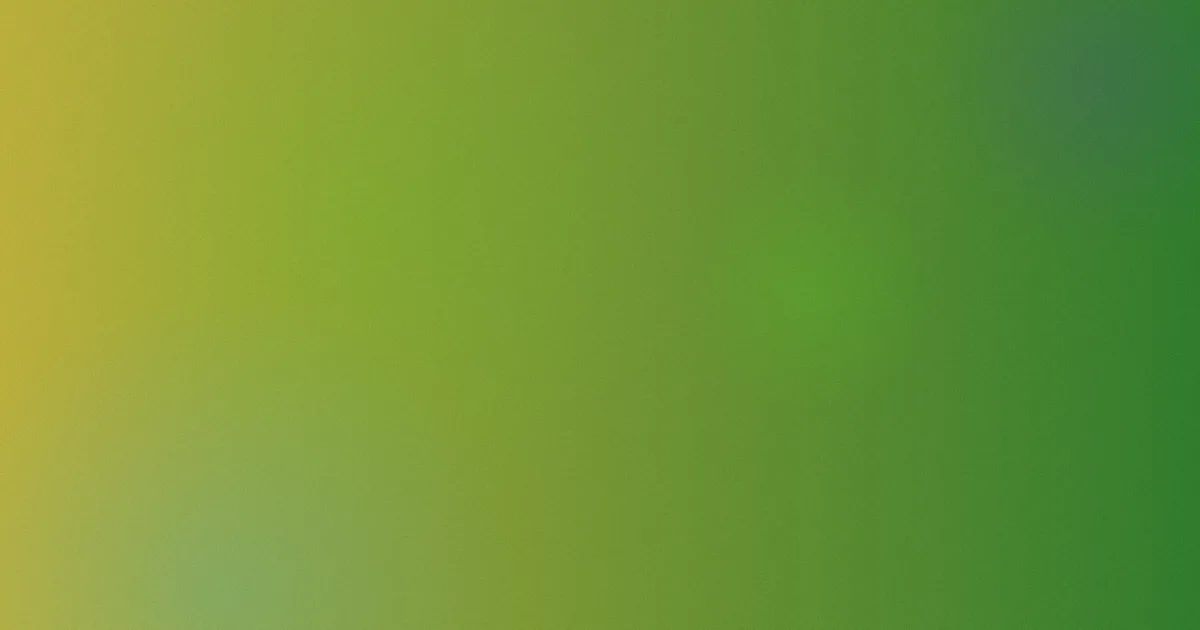 伊人久久影视推荐：新手筛选指南